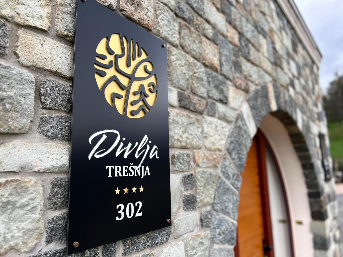 Toplik Village Resort Lukavica ภายนอก รูปภาพ